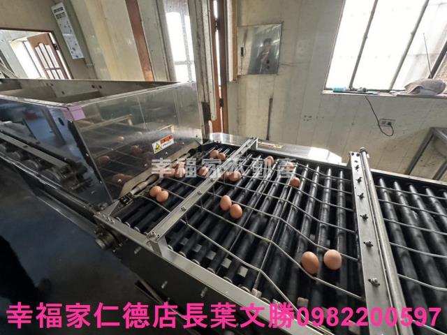鹽水畜牧場-10