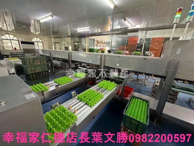 鹽水畜牧場-12