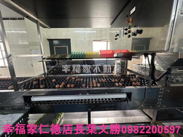 鹽水畜牧場-6