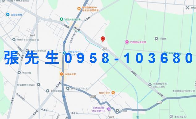 新園法拍透天-3