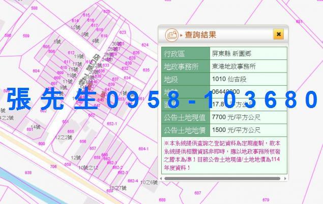 新園法拍透天-4
