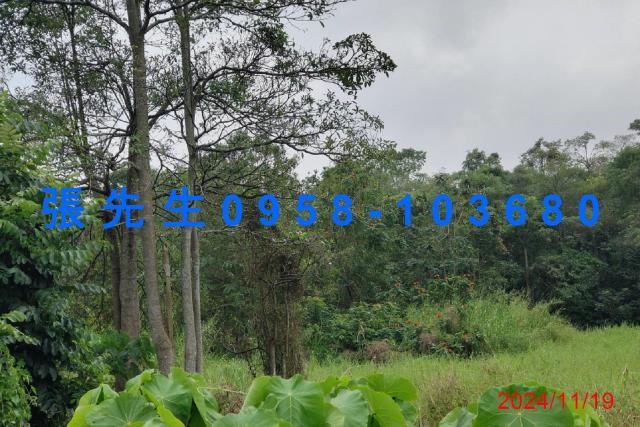 台南拍賣農舍-8
