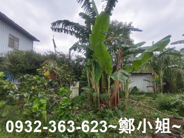 龍潭農舍-4