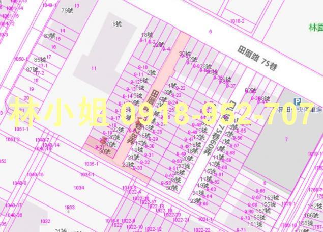 高雄林園法拍透天-4