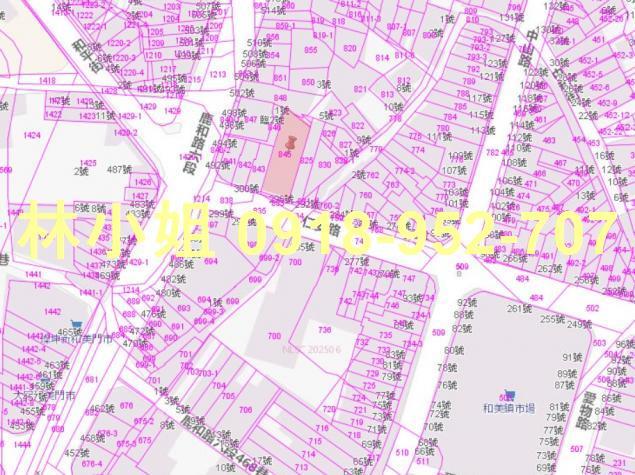 彰化和美透天法拍-3