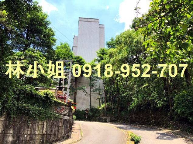 台中華廈法拍-1