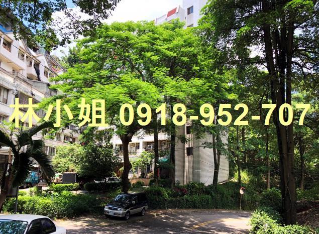 台中華廈法拍-3