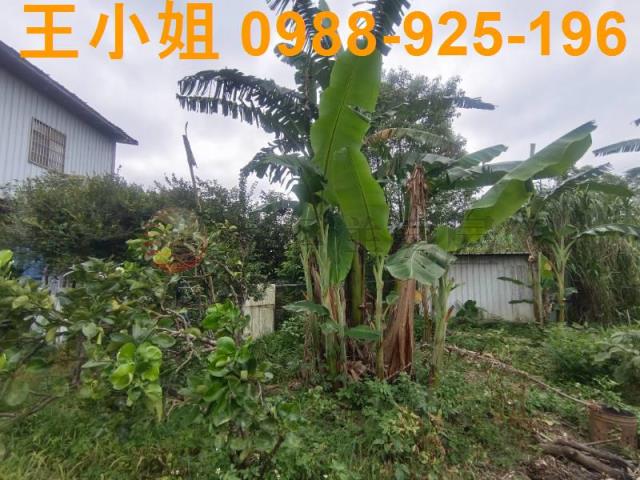 龍潭農舍-8