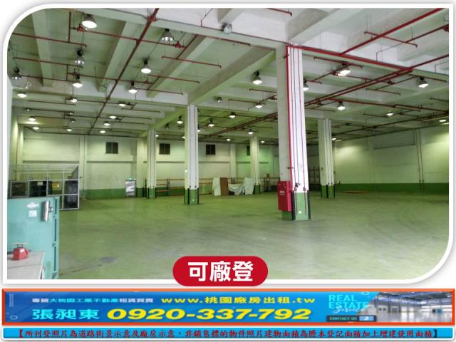 桃園大園廠房-0