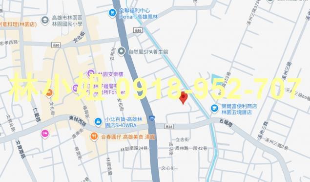 高雄林園法拍透天-3
