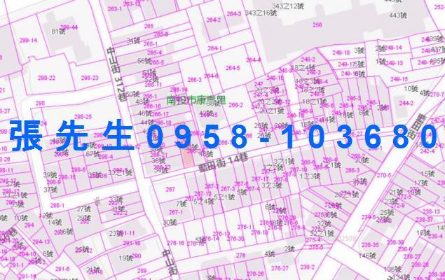 南投南投市法拍透天-4