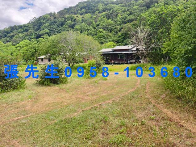 花蓮萬榮法拍透天-3