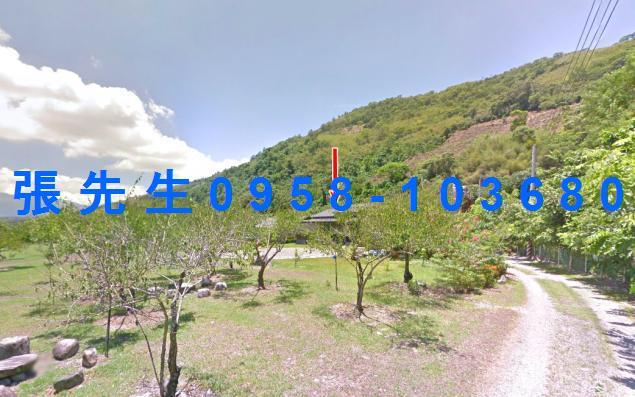 花蓮萬榮法拍透天-8