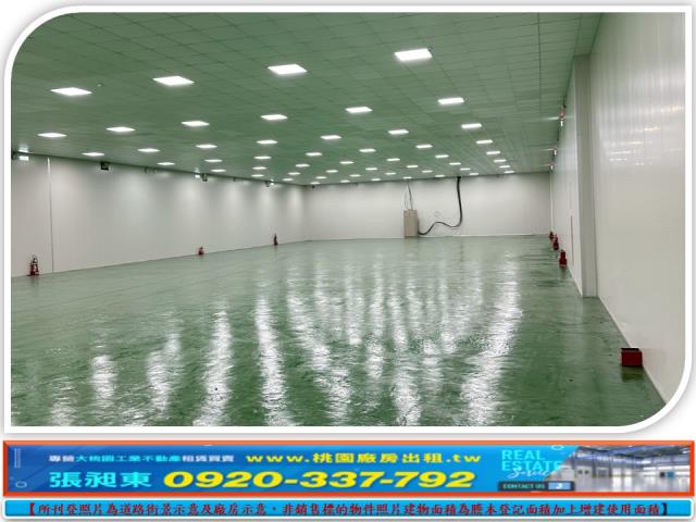 桃園中壢廠房-0