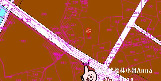桃園蘆竹法拍大樓-5