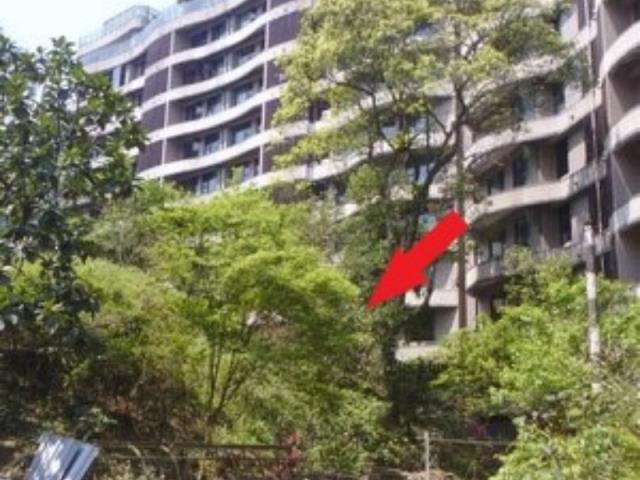 新北法拍大樓-1
