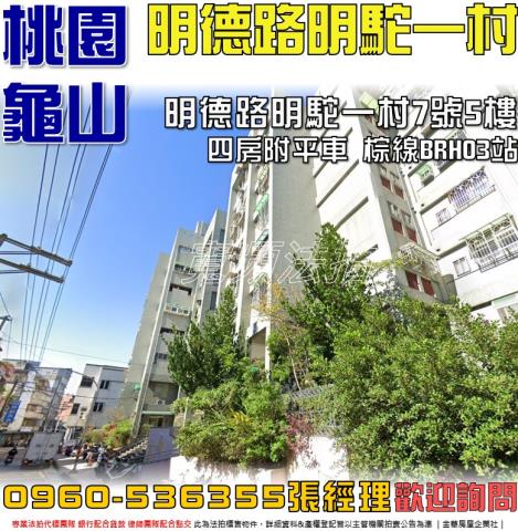 桃園法拍華廈-0