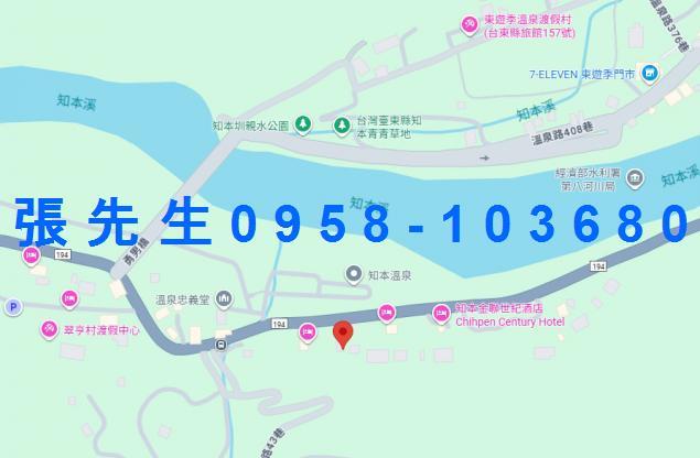 台東卑南法拍透天-1