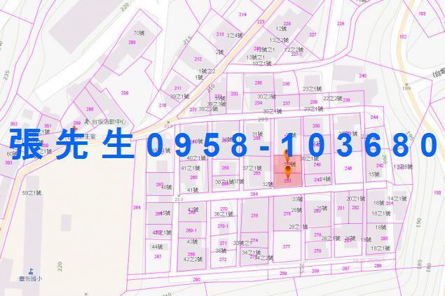 台東達仁透天法拍-2