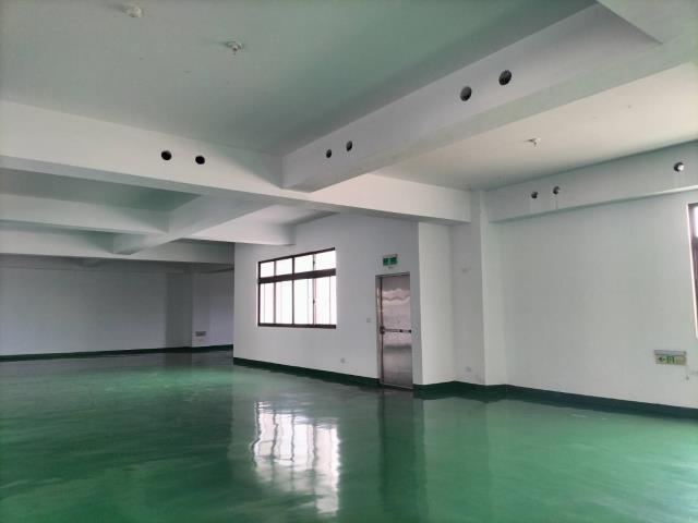 新北土城廠房-0