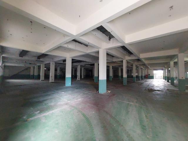 桃園大溪廠房-1