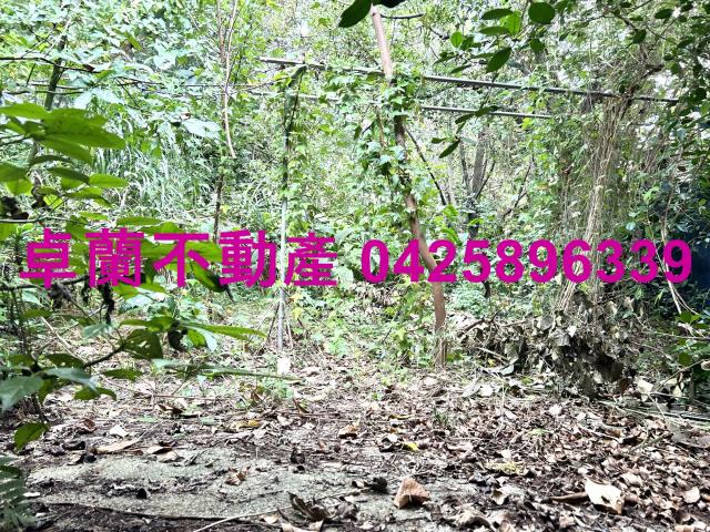 卓蘭透天-12