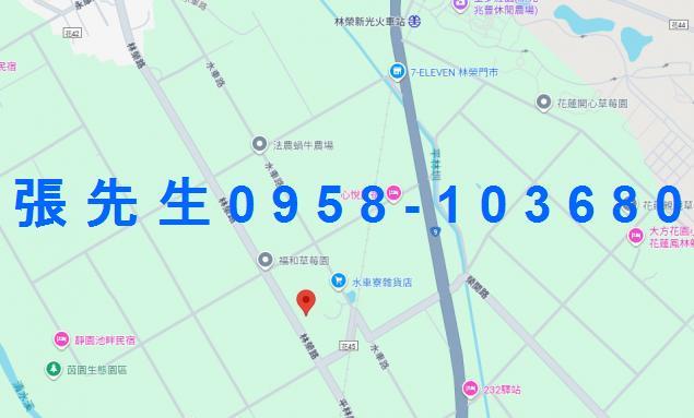 鳳林法拍透天-4