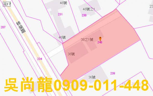 鳳林法拍透天-4