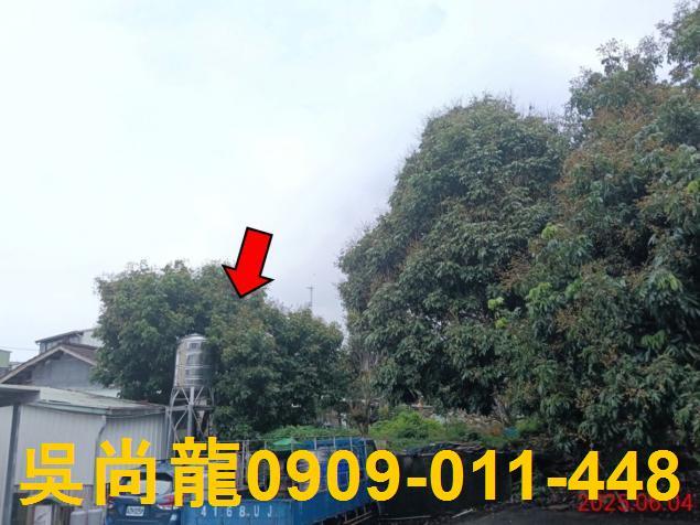 嘉義竹崎法拍一樓-1