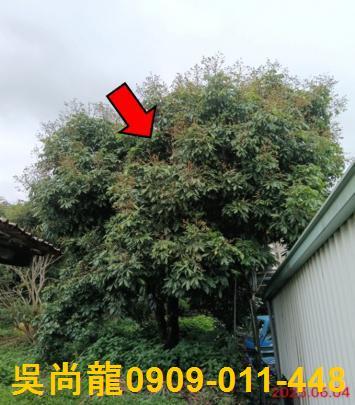 嘉義竹崎法拍一樓-2