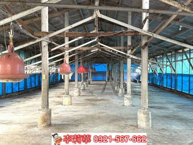 台南後壁畜牧場-9