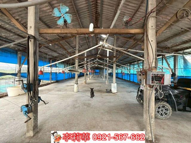 台南後壁畜牧場-10