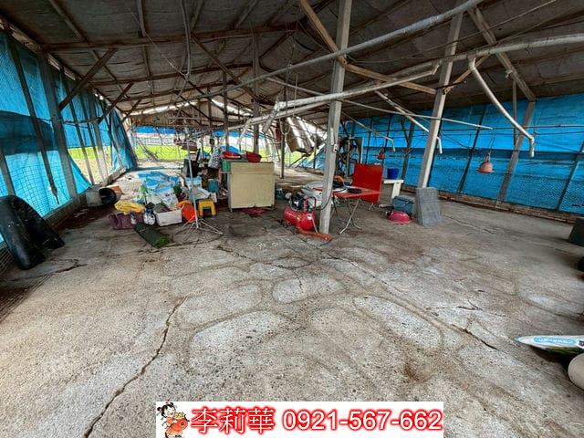 台南後壁畜牧場-11