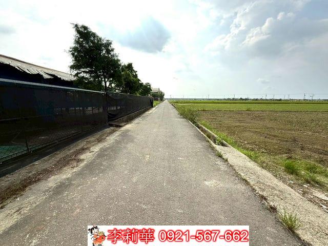 台南後壁畜牧場-2