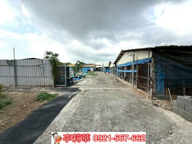 台南後壁畜牧場-4