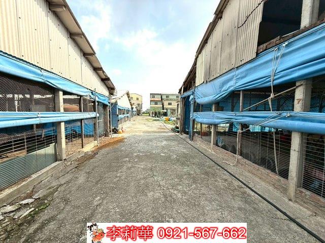 台南後壁畜牧場-5