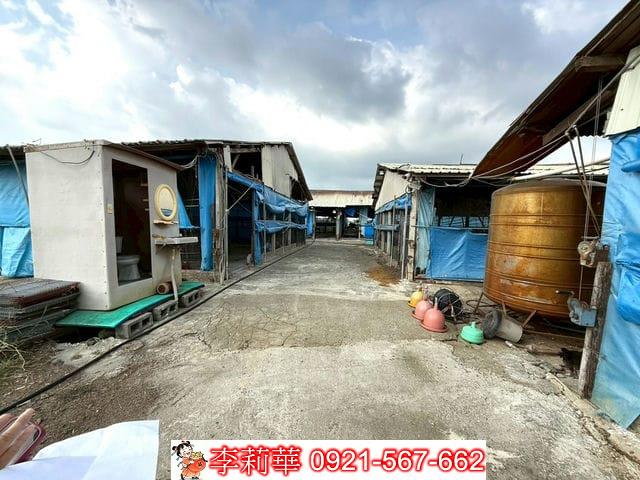 台南後壁畜牧場-6