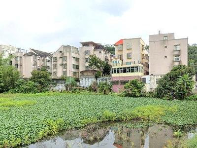 龍潭法拍透天-2