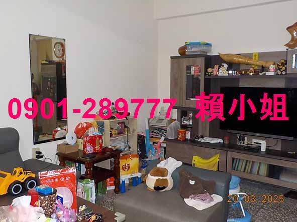 南投法拍透天-3