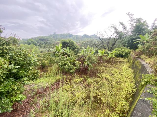 南投中寮農舍-8