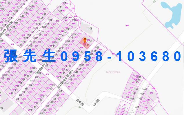 卑南拍賣透天-2