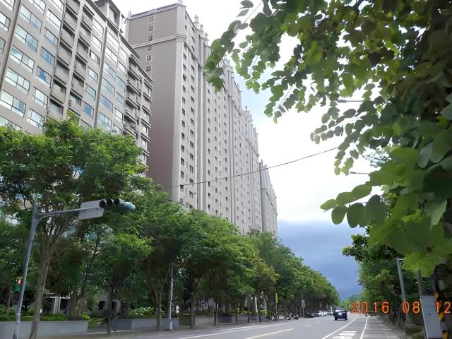 新北樹林拍賣大樓-6