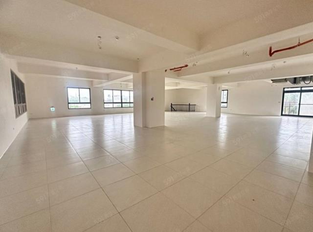 桃園大園店面-1