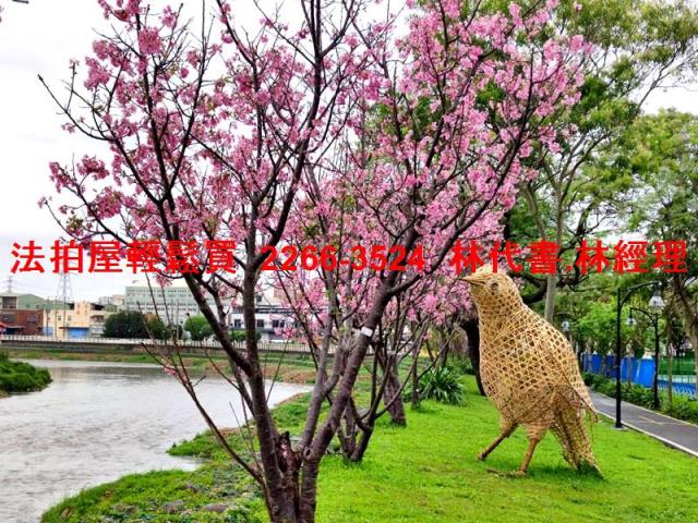 蘆竹華廈拍賣-9