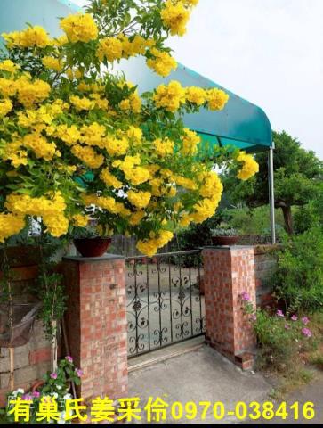 國道1號民雄國中