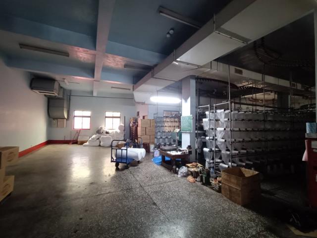 樹林廠房-2