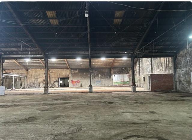 桃園中壢廠房-4