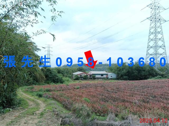 民雄拍賣透天-1