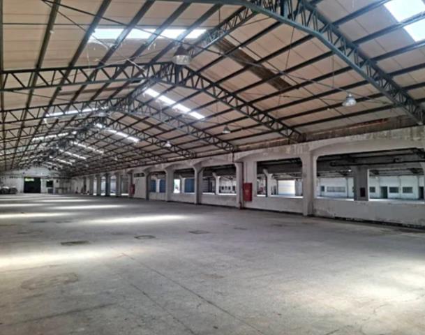 桃園楊梅廠房-2