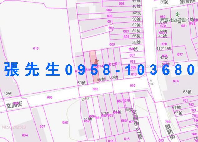 六龜法拍透天-2